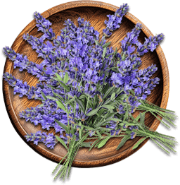 Lavender Oil