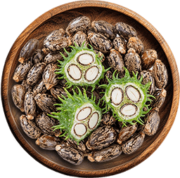 Castor Oil