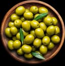 Olive