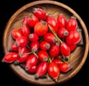 Rosehip